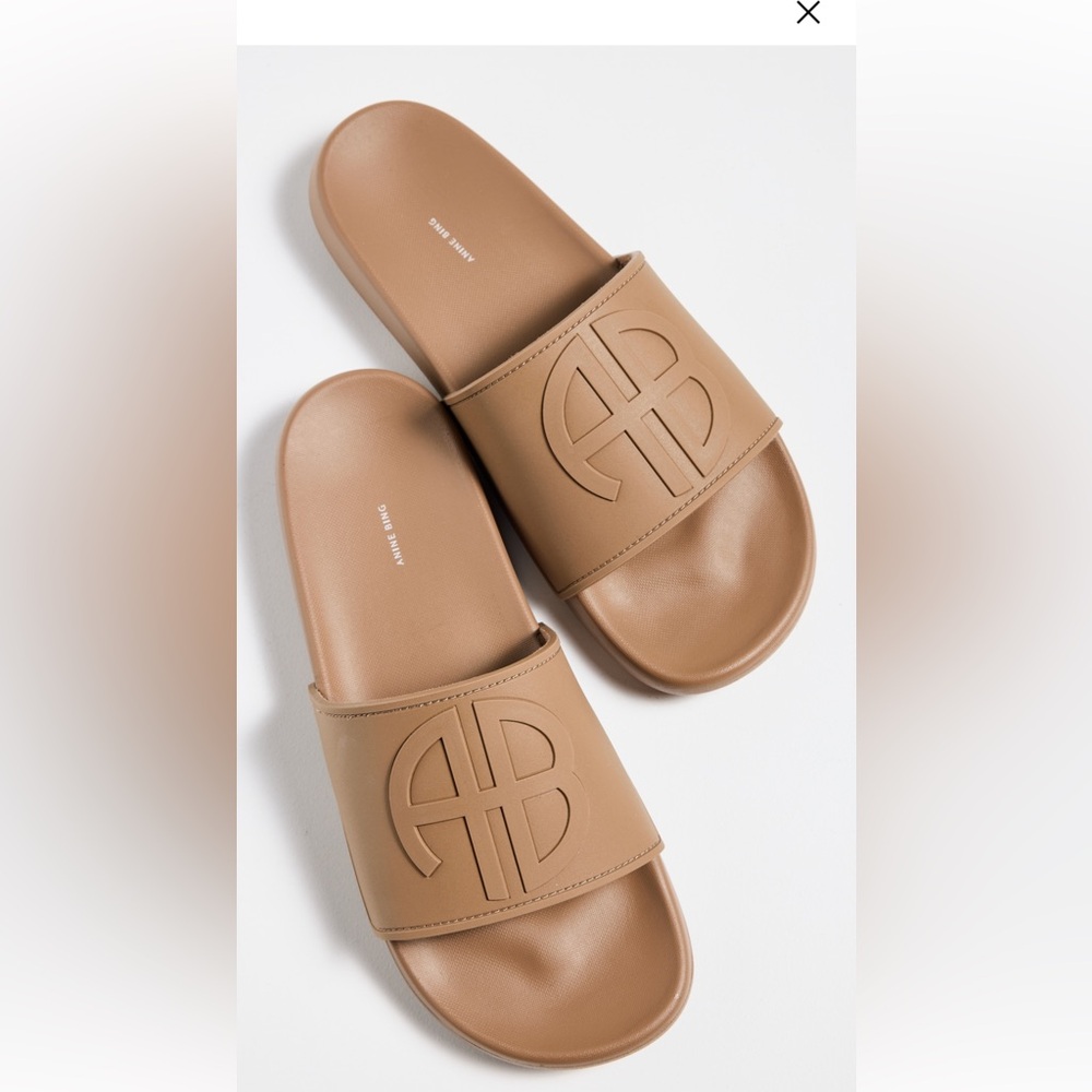 Anine Bing Isla Slides brown